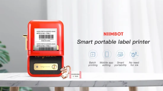 Niimbot B21 Простой в использовании интеллектуальный термопринтер для доставки этикеток